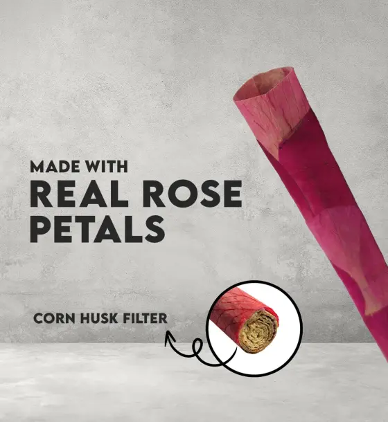BULK KING SIZE RED CONES 250