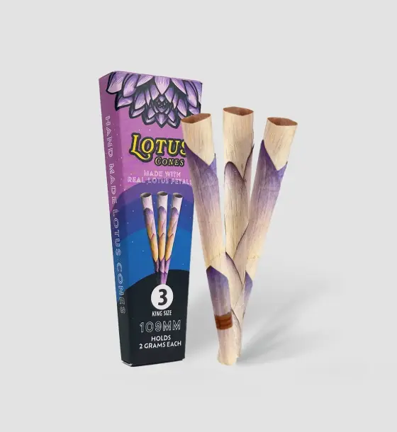 BOX LOTUS CONES