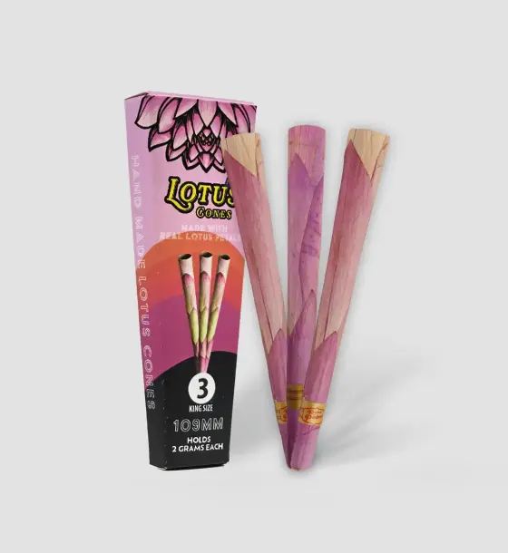 BOX LOTUS CONES PINK