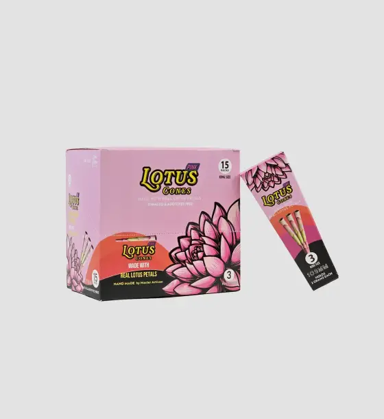BOX LOTUS CONES PINK