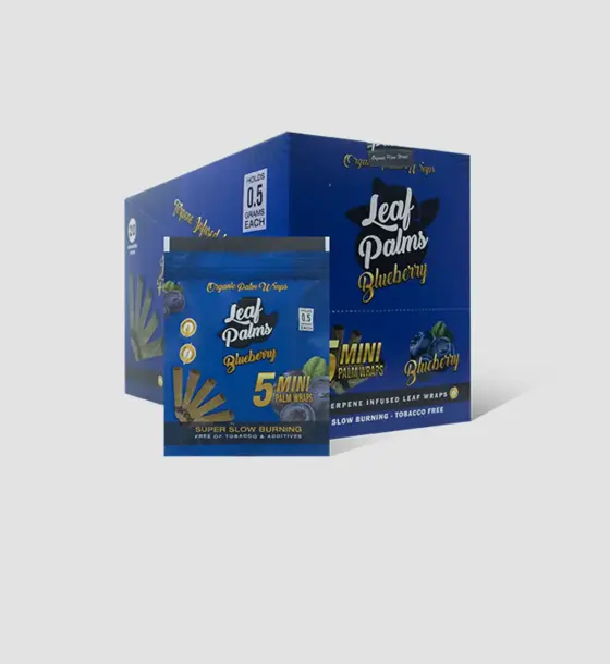 BOX LEAF PALMS MINI BLUEBERRY