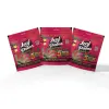 3 PACKS LEAF PALMS MINI SIZE TROPICAL DRAGON "15 COUNT"